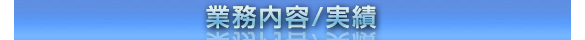 業務内容/実績